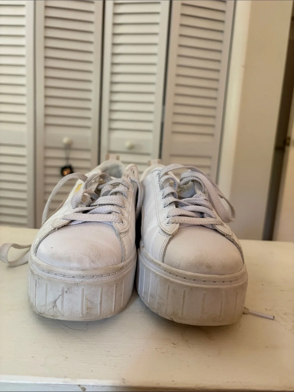 Puma white brown